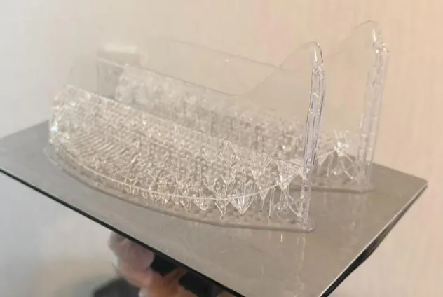 Clear resin petal prints on the build plate