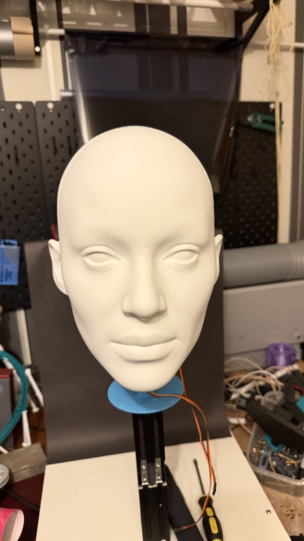 Step 1: printing the scanned head