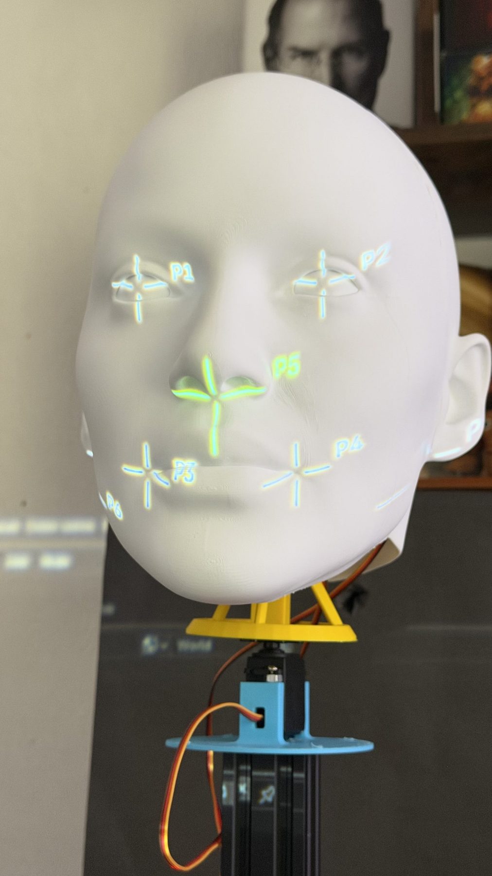 Putting the landmarks on the face