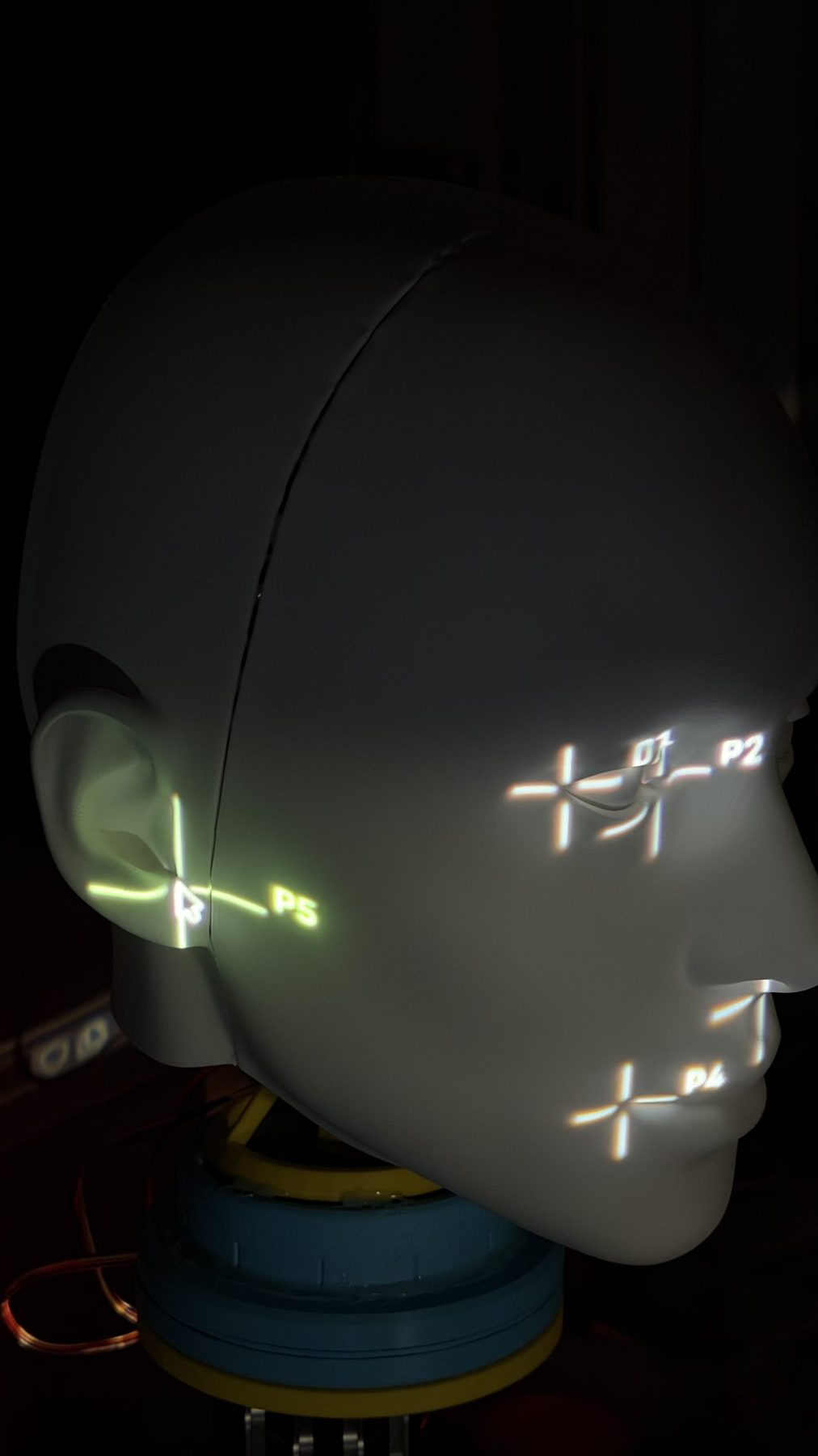 Clicking and dragging landmarks with the cursor on the projected head