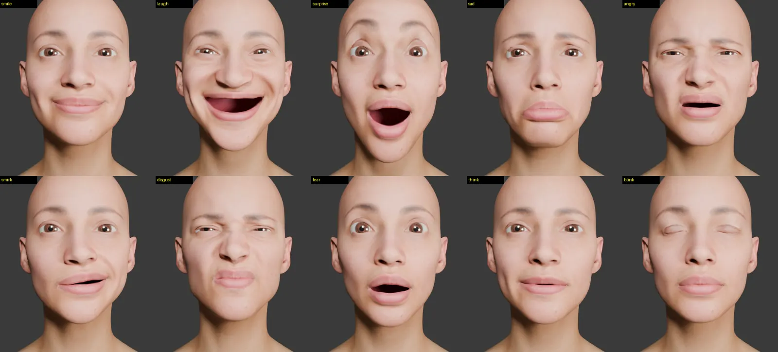 Ten renders of the head using scanned expressions: smile, laugh, surprise, sad, angry, smirk, disgust, fear, think and blink