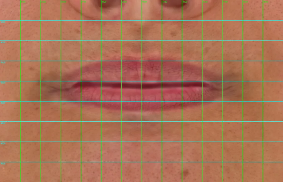 Mouth region of the texture with a measurement grid